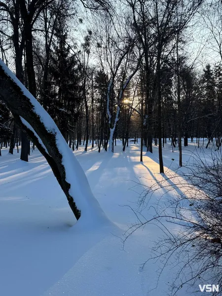 У Луцьку в центральному парку в мороз -17 °C бігав чоловік без одягу (фото, відео)
