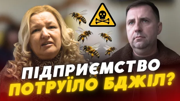 Мертві бджоли не гудуть: у Луцьку жінка судиться з аграрієм через отруєння комах (відео)