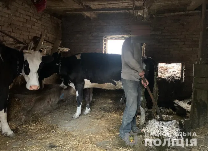 Жили в хліву і працювали за їжу: волинянка утримувала людей у трудовому рабстві (фото, відео)