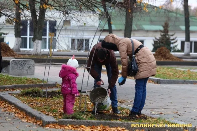 На проспекті Волі у Луцьку садили алею троянд (фото)