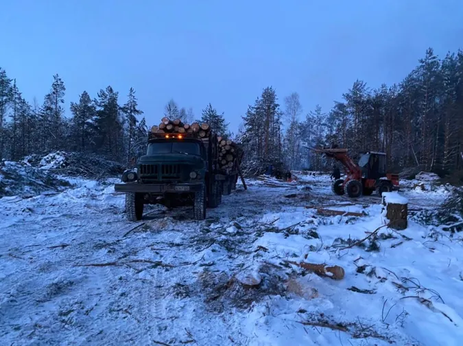 На Волині крадіїв лісу залишили без вантажівки та навантажувача (фото)