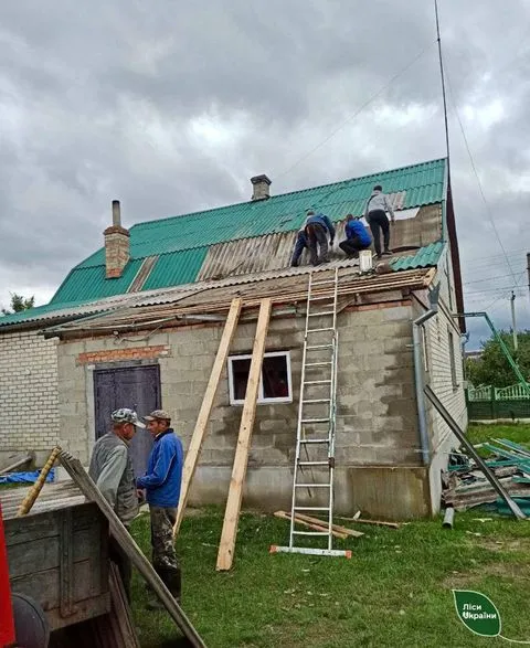 Поламані, як сірники, дерева: буревій пошкодив майже 5 тисяч га лісу на Камінь-Каширщині (фото)