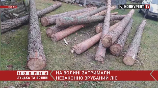 На Камінь-Каширщині затримали «чорних» лісорубів (відео)