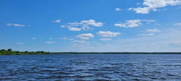 Після сезону відпочинку в Шацьких озерах перевірили якість води: що у ній знайшли (фото)