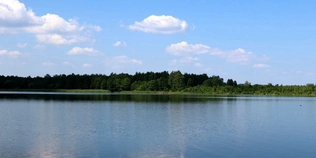 На Волині перевірили озеро Велике Чорне: що показали аналізи води (фото)
