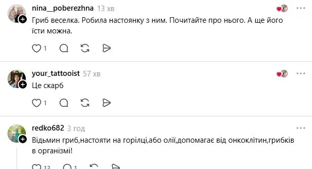 У клумбі виросло «відьмине яйце»: незвичайна знахідка здивувала українку