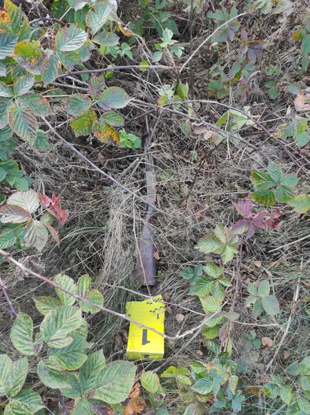 На Волині пʼяний чоловік обстріляв будинок сусіда (фото)