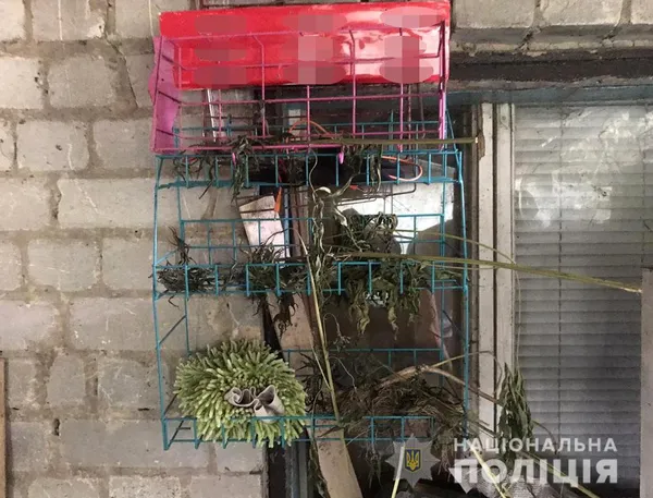 Мак, шприци, конопляний пакунок на зону: наркотичний улов поліції Волині за добу (ФОТО)