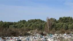 На Волині в лісі – переполох через небезпечні рештки (фото)
