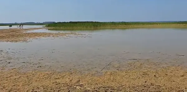 Світязь міліє на очах: на Гряді вода відійшла на десятки метрів (відео)
