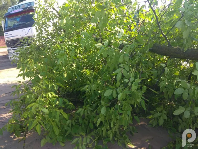 На Волині буревій наробив лиха (фото, відео)