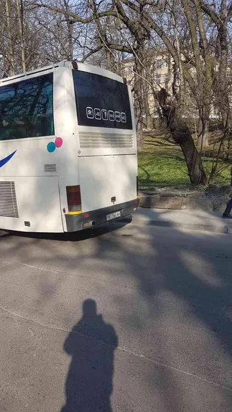 Напередодні теракту в Луцьку на Львівщині відбувались «польські» акції протесту (фото)