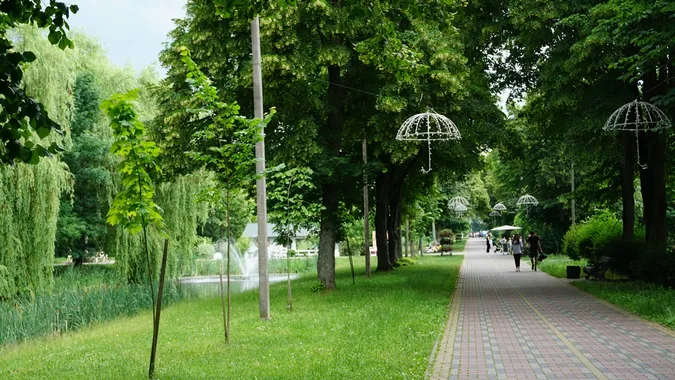 Заквітчаний луцький парк перед грозою (фото)