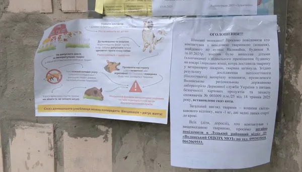Сказ у Луцьку: що сталося з людьми, які контактували із хворим кошеням (фото)