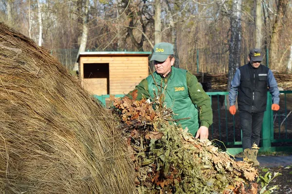 Луцький зоопарк отримав від лісівників тонну сіна і кормові віники (фото)