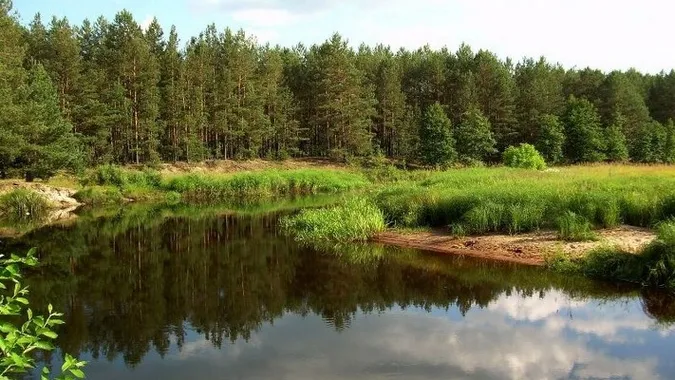 Ілюстративне фото