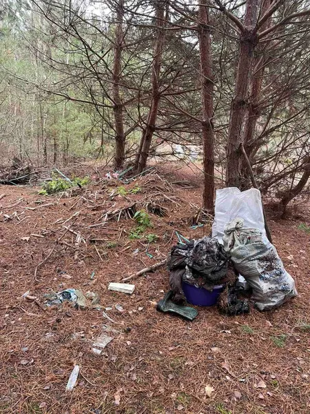 З лісу на Волині вивезли 8 величезних причепів сміття (фото)