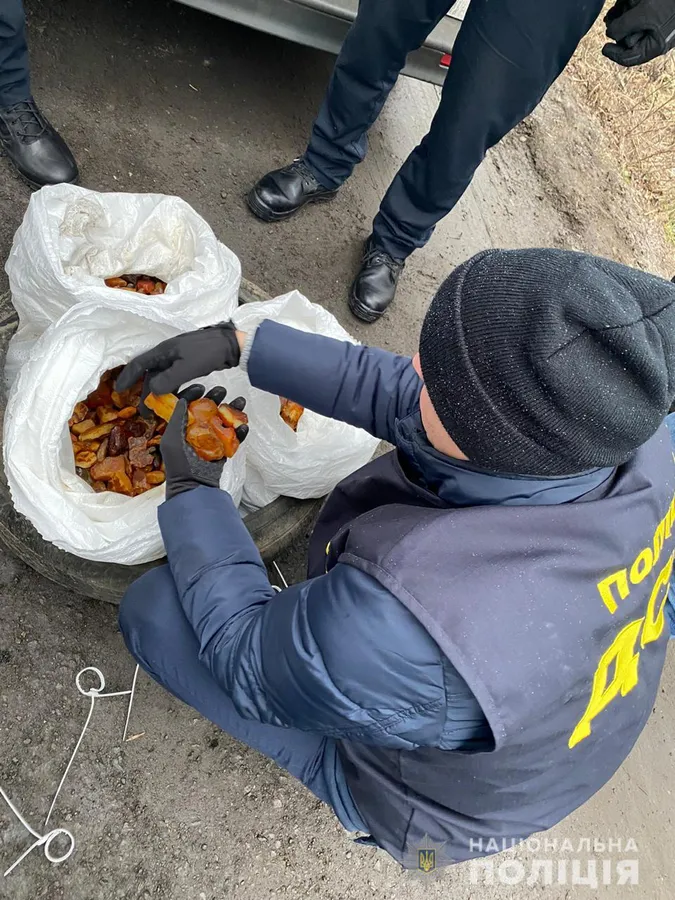На Рівненщині сільського голову спіймали з бурштином на 30 тисяч доларів (фото, відео)