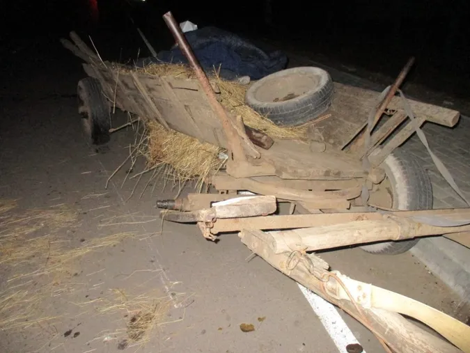На Сарненщині неповнолітній мотоцикліст врізався у віз з конем