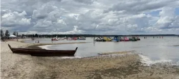 Світязь стрімко обмілів: чому зникає вода у Шацьких озерах та чи винна в цьому лохина (фото)