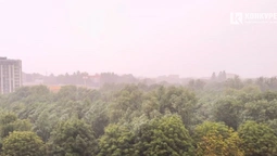 Грім, блискавка та злива: Луцьк раптово накрила негода (відео)