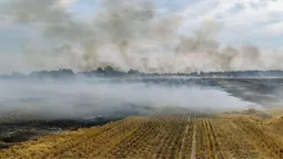 Пожежа стерні на Ковельщині: вогнеборці оперативно ліквідували загоряння (фото)