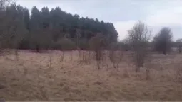 На Волині здійняли ґвалт через людські паї: що там коїться (відео)