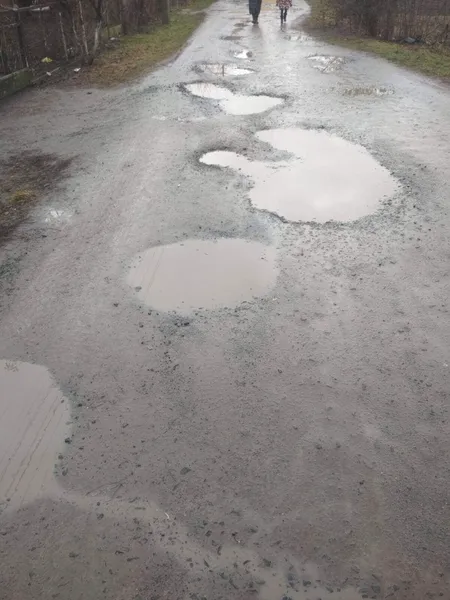 Болото та калюжі: лучанин поскаржився на жахливий стан вулиці (фото)