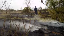 У Шацькому районі загасили пожежу на торф'янику (фото)