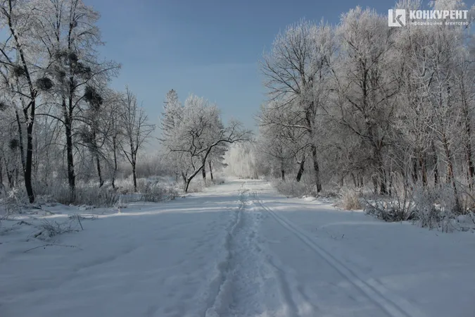Казково: світлини Луцька, засипаного снігом