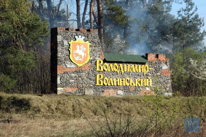 Біля Володимира загорівся ліс: ймовірно, через підпали сухої трави (відео)