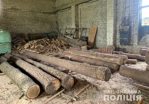 На волинських пилорамах знайшли незаконні дуби й сосни (фото)