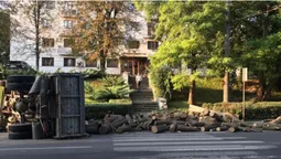 Внаслідок перекидання ЗІЛа з колодами у Луцьку постраждали діти (фото)