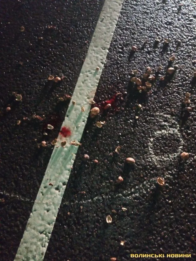 Біля Луцька мікроавтобус на смерть збив жінку (фото, відео)