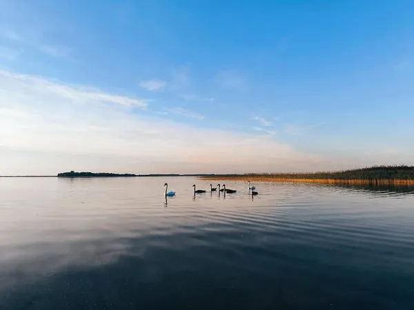Зовсім інший: Світязь після туристичного сезону (фото)