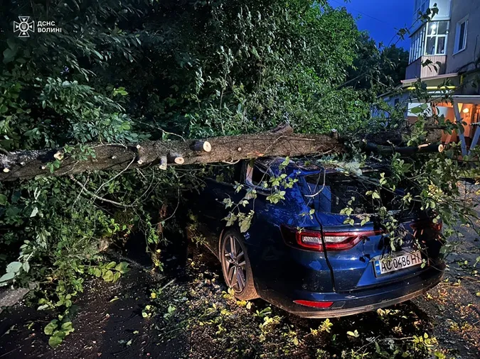 На Грушевського у Луцьку деревами привалило дві автівки (фото)