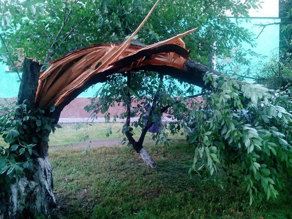 Що наробила негода в Луцьку (фото, відео)