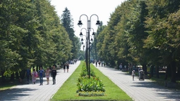 Луцький парк на ремонті: що, як і де запланували 