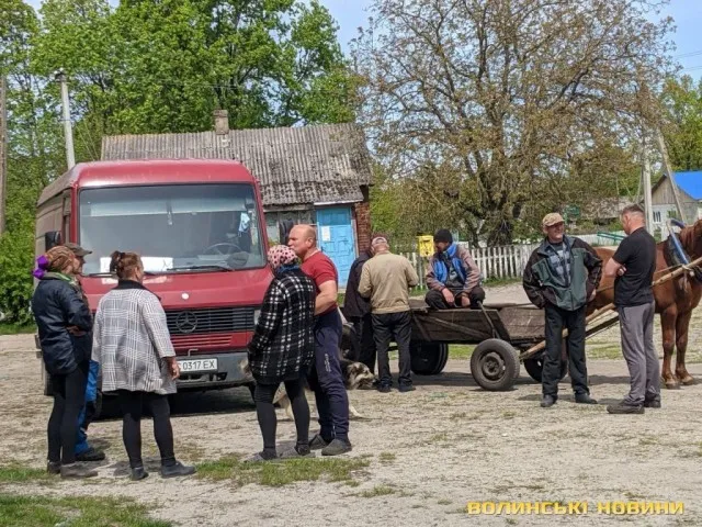 У селах на Волині практично за безцінь здають картоплю (фото)