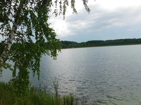Морські пляжі посеред лісу: на Поліссі причаїлося глибоке озеро з цілющою водою (фото)