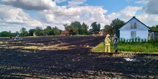 На Рівненщині під час спалювання стерні загинула 90-річна жінка (фото)