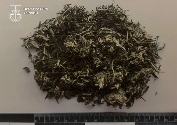 Наркотики та зброя вдома: у Ковелі судитимуть 22-річного рецидивіста