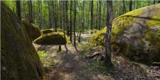 Люди стали валунами: у лісах Полісся ховається містичне місце, де є камінь зі слідом Божої стопи (фото)
