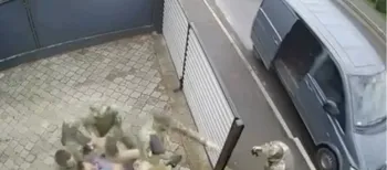 У Ковелі група оповіщення ТЦК затримала чоловіка на чужому подвір'ї: деталі конфлікту  (відео)