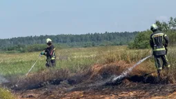 На Волині рятувальники приборкують пожежу торфовища (фото)