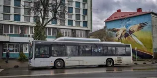 Заробляють більше за перевізників: скільки City Card отримує від луцького транспорту