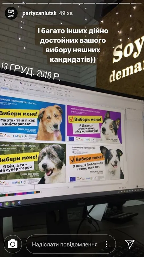 Вибори у КП «Ласка»: представили найпухнастіших і наймиліших кандидатів (фото)