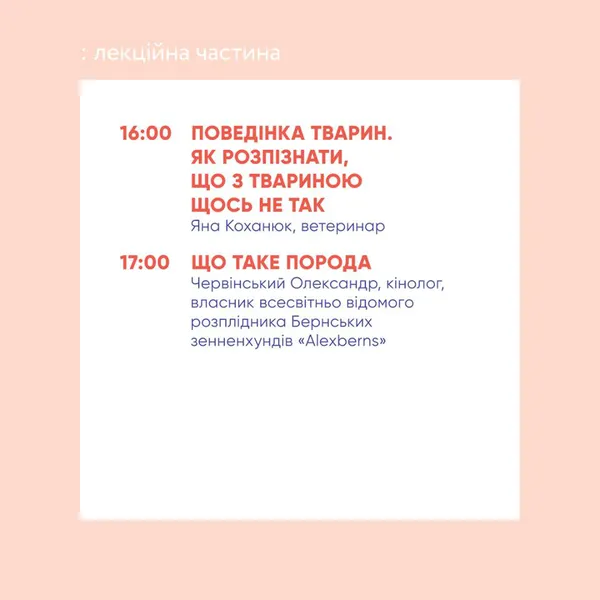 Фестиваль «Мокрі носики» в Луцьку: опублікували програму лекцій*
