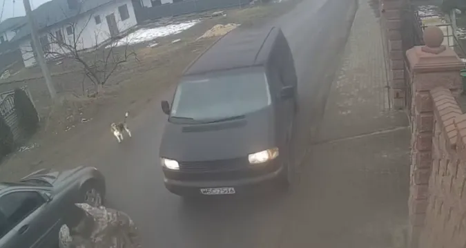 Чоловіка забрали, а собака лишився на дорозі: у Волинському ТЦК розповіли, що відбулося (відео)