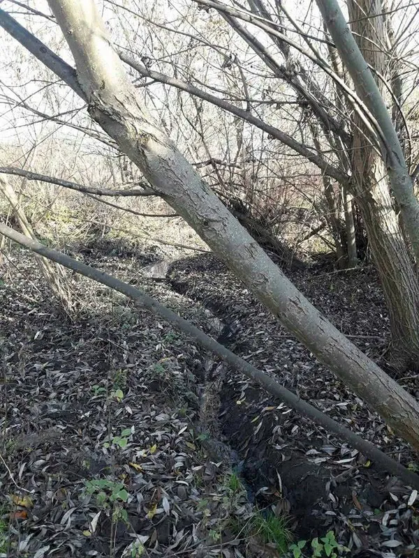Лучанка зливала нечистоти в канали центрального парку (фото)